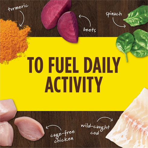 Instinct Pet Food Raw Boost Mixers Healthy Energy Dog Food Topper 5.5oz - Poudre Pet and Feed Supply